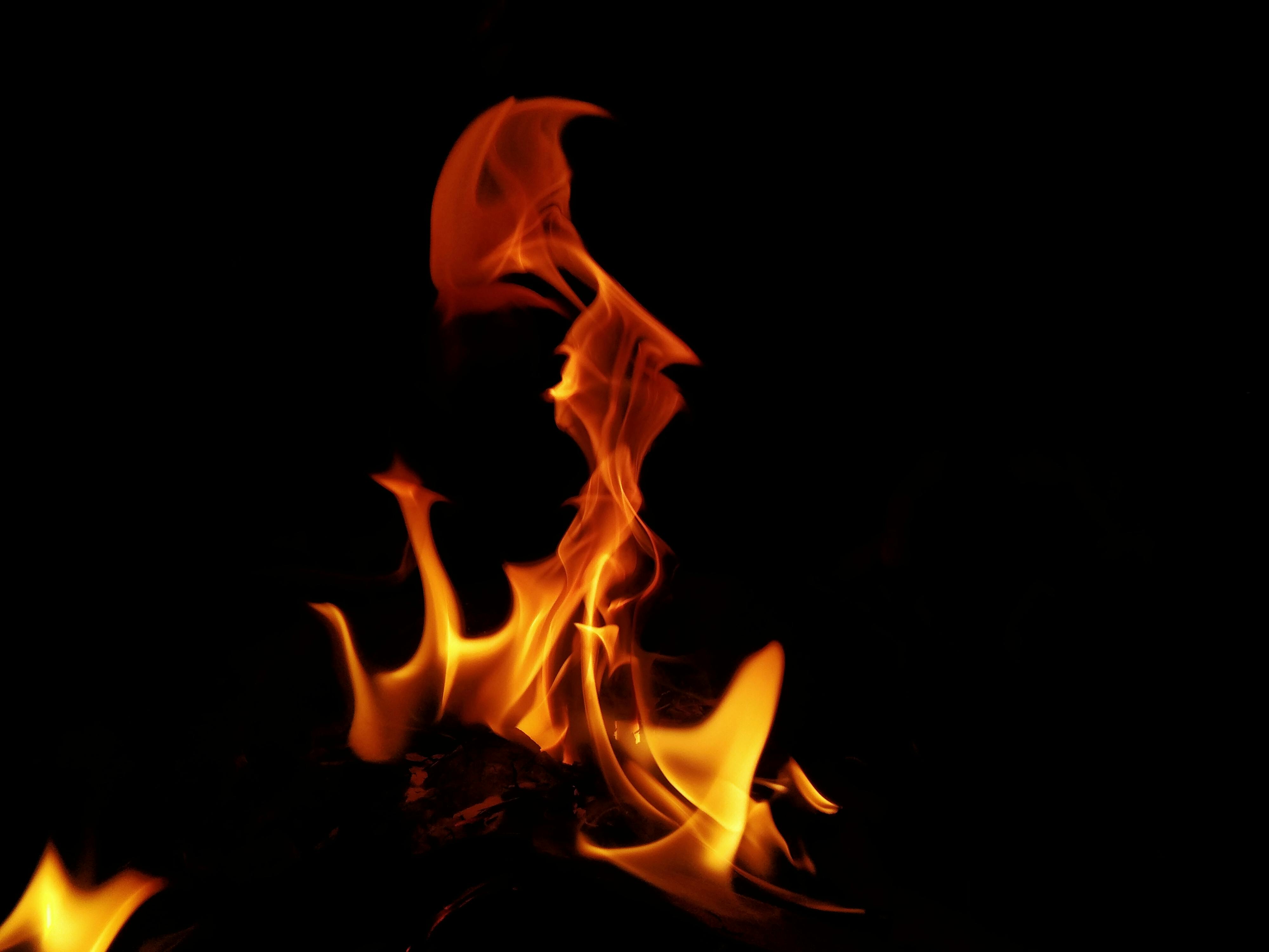 Homily — Solemnity of Pentecost
